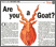 Are you a Goat ?
