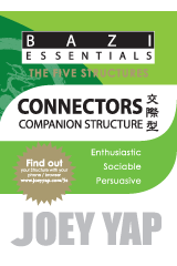 BaZi Essentials - Connectors (Companion Structure)