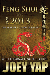 Feng Shui for 2013