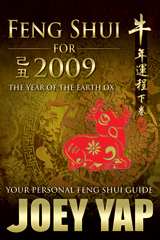 Feng Shui for 2009