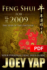 Feng Shui for 2009