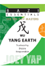 BaZi Essentials - Wu (Yang Earth)