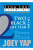 Feng Shui Essentials - 2 Black Life Star