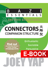 BaZi Essentials - Connectors (Companion Structure)