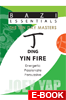 Bazi Essentials - Ding (Yin Fire)