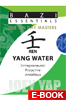 Bazi Essentials - Ren (Yang Water)