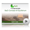 BaZi Concept of Equilibrium