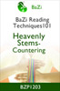 Heavenly Stems - Countering