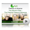 The Month Pillar - The Parents Palace's Influence<br>(BZP1304)