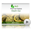 Wealth Star<br>(BZP1402)