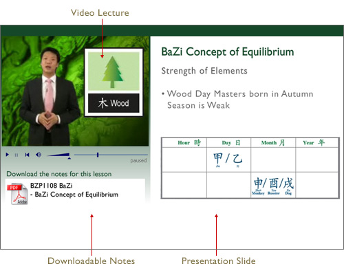 How To Read Bazi Profiling Chart