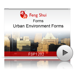 Urban Environment Forms