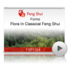 Flora In Classical Feng Shui<br>(FSP1204)