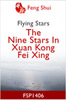The Nine Stars In Xuan Kong Fei Xing