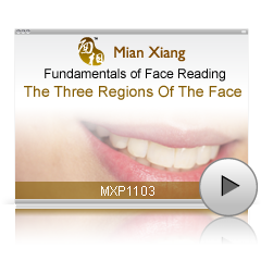 The Three Regions Of The Face