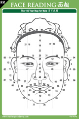 The Face Reading Reference Chart - The 100 year map for Male