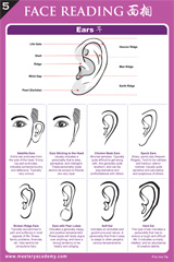 The Face Reading Reference Chart - Ears and Nose