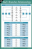 The BaZi - Branches Relationship Reference Chart