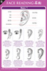 The Face Reading Reference Chart - Ears and Nose