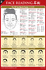 The Face Reading Reference Chart - Female General