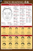 The Face Reading Reference Chart - Male General